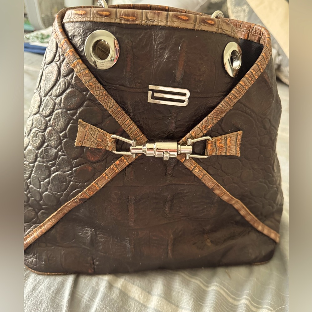 Beautiful BSwanky backpack purse